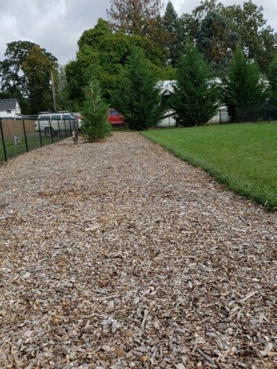 Cornelius Dog Park - Cornelius, OR