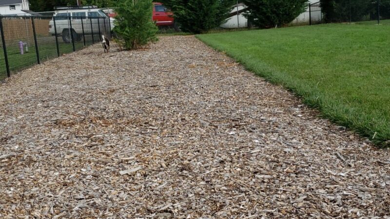 Cornelius Dog Park - Cornelius, OR