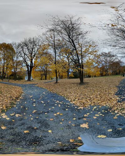 Canfield Park - Corning, NY