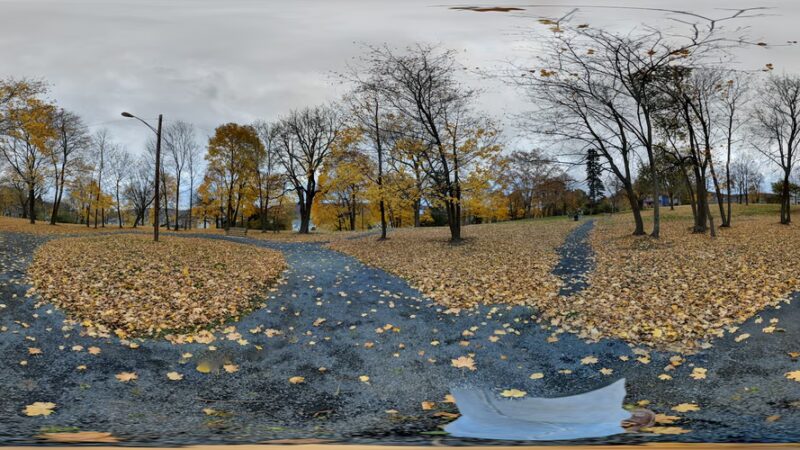 Canfield Park - Corning, NY