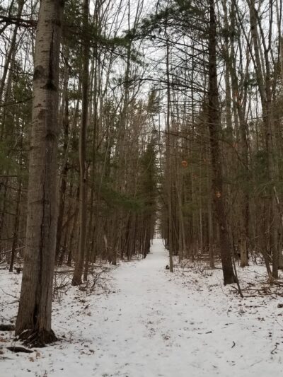 Houghton Land Preserve - Corning, NY