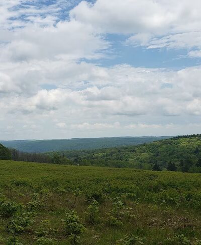 Houghton Land Preserve - Corning, NY