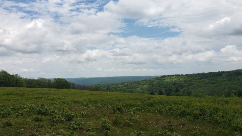 Houghton Land Preserve - Corning, NY