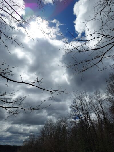 Houghton Land Preserve - Corning, NY