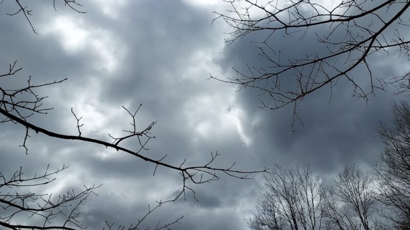 Houghton Land Preserve - Corning, NY