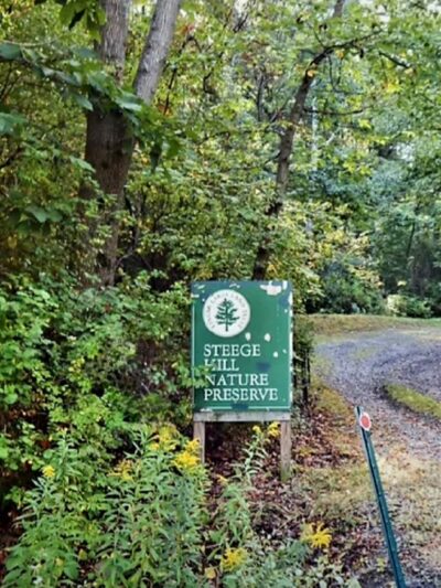 Steege Hill Nature Preserve - Corning, NY