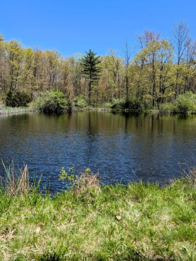 Steege Hill Nature Preserve - Corning, NY