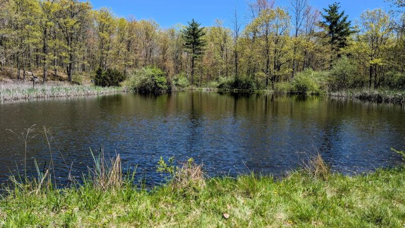 Steege Hill Nature Preserve - Corning, NY