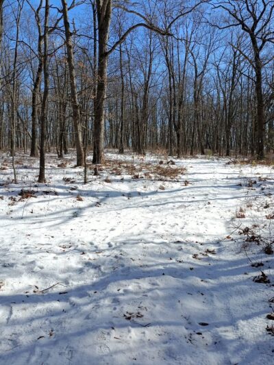 Steege Hill Nature Preserve - Corning, NY