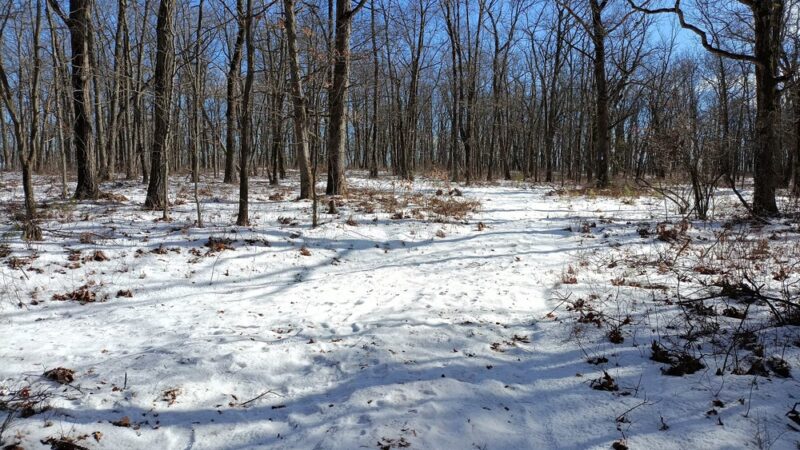 Steege Hill Nature Preserve - Corning, NY