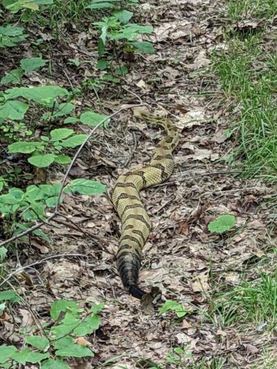 Steege Hill Nature Preserve - Corning, NY