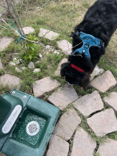 Riley P Dog Park - Corpus Christi, TX