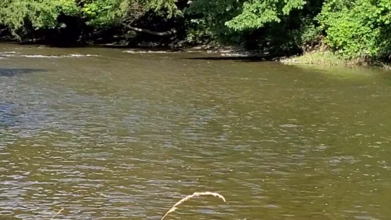 Yaman Park - Cortland, NY