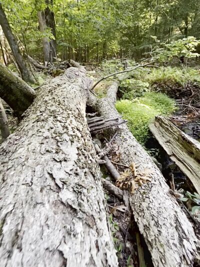 Blue Mountain Reservation Loop - Cortlandt, NY