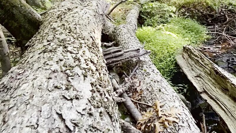 Blue Mountain Reservation Loop - Cortlandt, NY