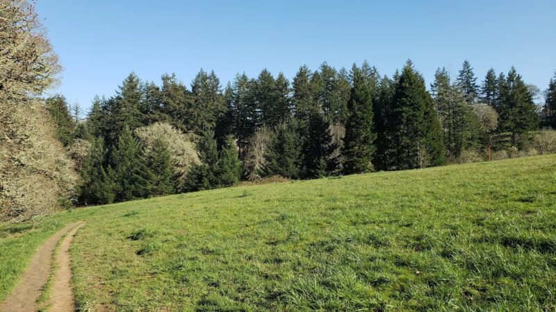 Woodland Meadow Park - Corvallis, OR