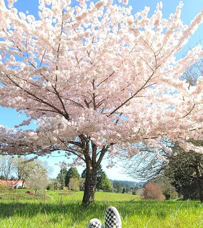 Woodland Meadow Park - Corvallis, OR