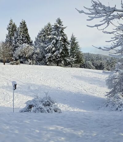 Woodland Meadow Park - Corvallis, OR