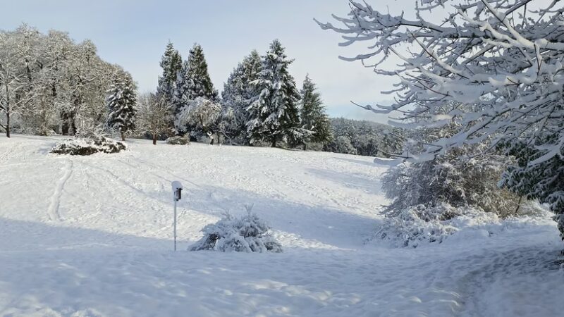 Woodland Meadow Park - Corvallis, OR