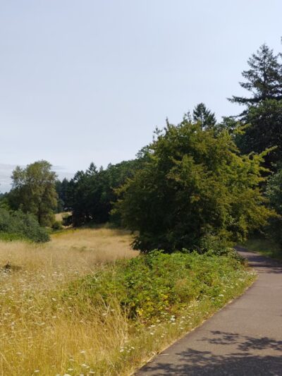 Woodland Meadow Park - Corvallis, OR