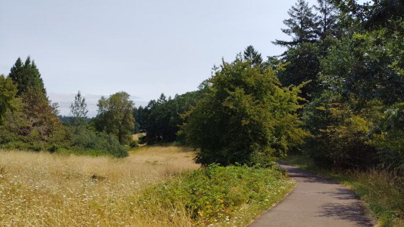 Woodland Meadow Park - Corvallis, OR