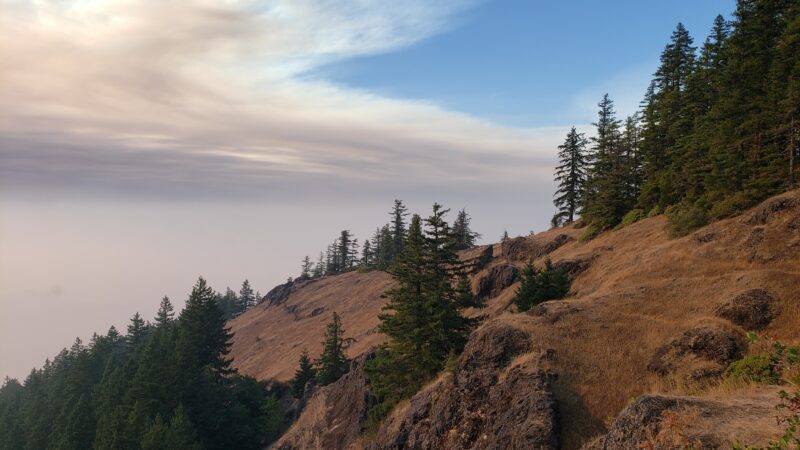 Mosby Creek Trailhead - Cottage Grove, OR