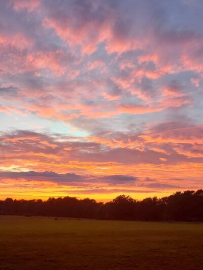 Cherry Springs State Park Astronomy Observation Field - Coudersport, PA