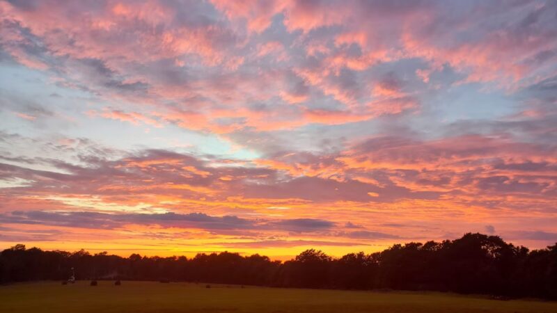 Cherry Springs State Park Astronomy Observation Field - Coudersport, PA