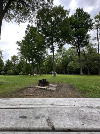 Cherry springs state park Night Sky public viewing Area - Coudersport, PA