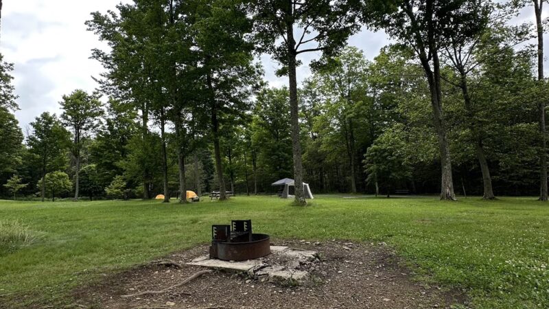 Cherry springs state park Night Sky public viewing Area - Coudersport, PA
