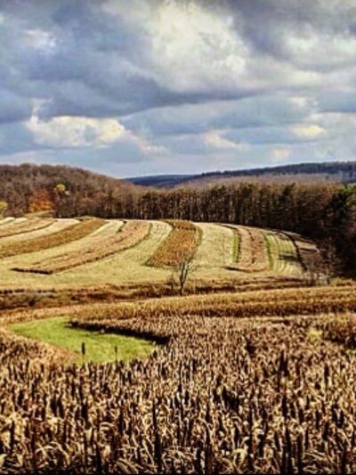 God's Country Upland Preserve - Coudersport, PA
