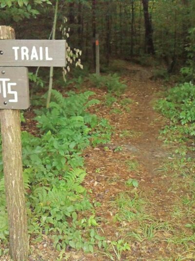 Patterson State Park - Coudersport, PA