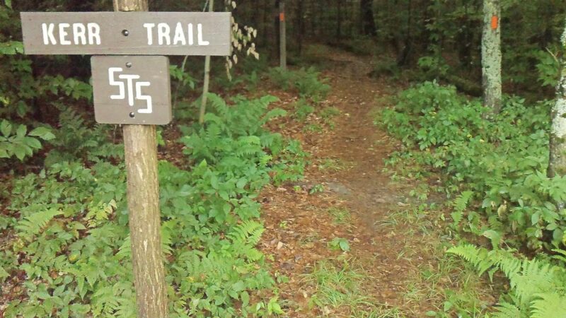Patterson State Park - Coudersport, PA