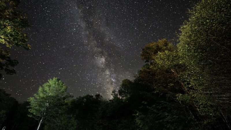 Patterson State Park - Coudersport, PA
