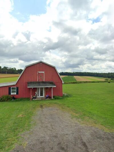 Pawfessional Boarding Kennels - Coudersport, PA