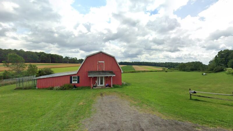 Pawfessional Boarding Kennels - Coudersport, PA