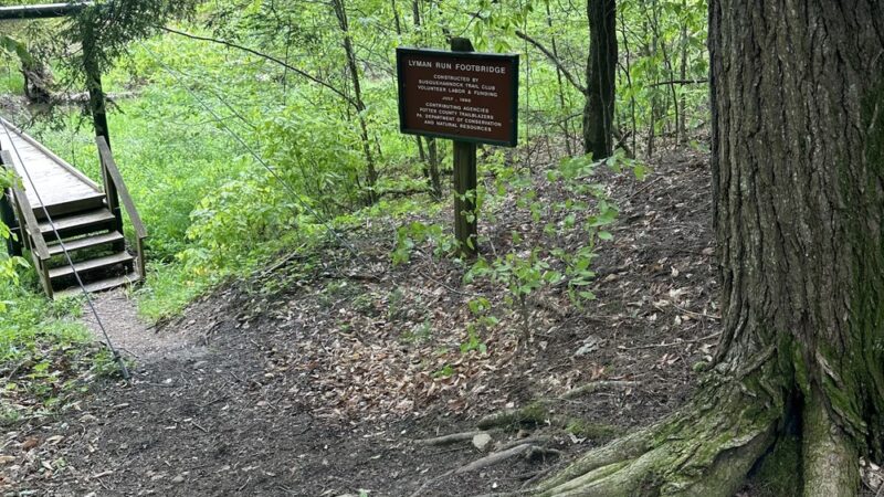 Susquehannock Trail System Northern Gateways Trailhead - Coudersport, PA