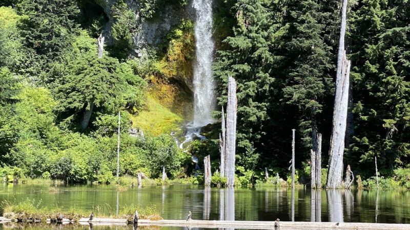 June Lake Trailhead And Parking - Cougar, WA