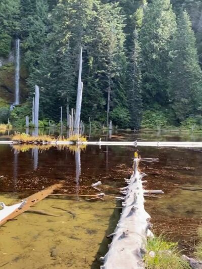 June Lake Trailhead And Parking - Cougar, WA