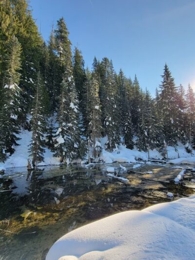 June Lake Trailhead And Parking - Cougar, WA