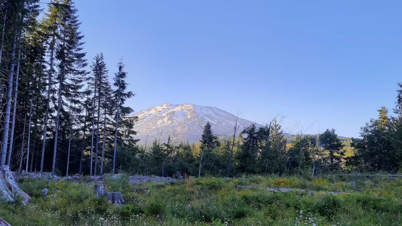 Sno-Park: Cougar - Cougar, WA