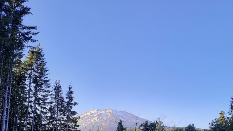 Sno-Park: Cougar - Cougar, WA