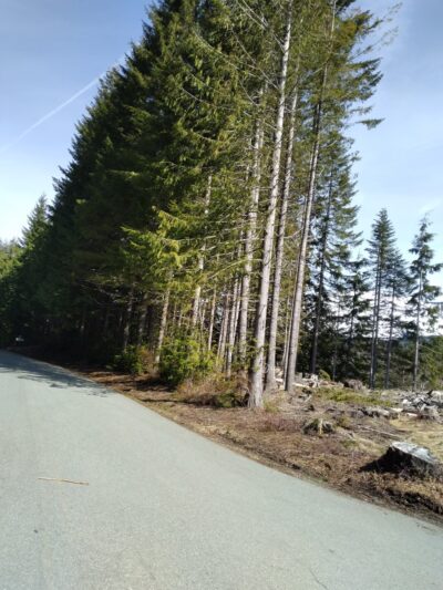 Sno-Park: Cougar - Cougar, WA