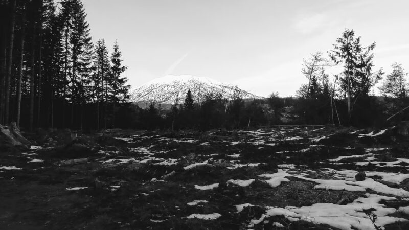 Sno-Park: Cougar - Cougar, WA