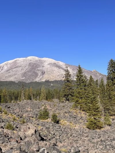 Toutle Trail - Cougar, WA