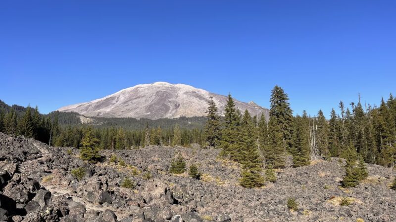 Toutle Trail - Cougar, WA