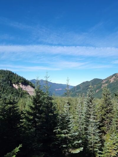 Toutle Trail - Cougar, WA