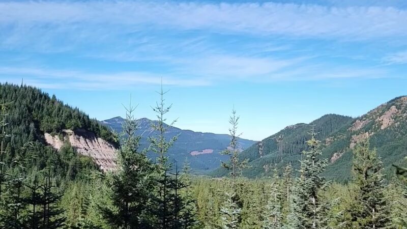 Toutle Trail - Cougar, WA
