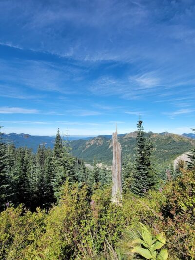 Toutle Trail - Cougar, WA