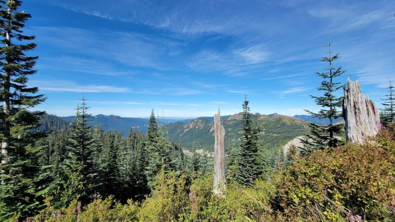 Toutle Trail - Cougar, WA